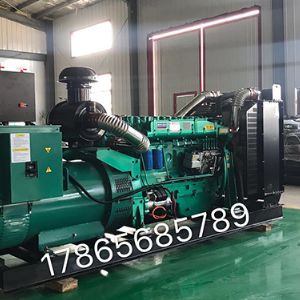 200-300kw發(fā)電機(jī)組 
