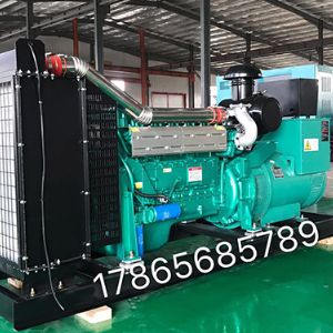 200-300kw發(fā)電機(jī)組 